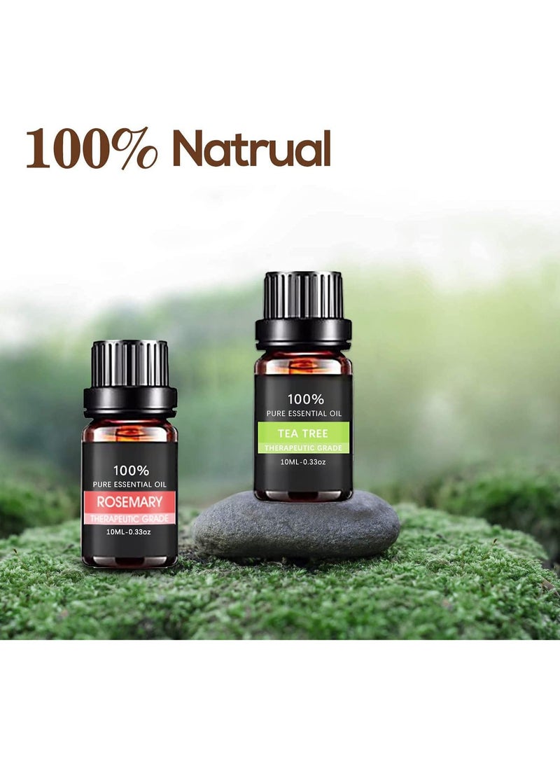 ChicAbode مجموعة زيوت عطرية مكونة من 6 قطع، زيوت نقية 100%، مجموعة هدايا زيوت العلاج العطري، لأجهزة التبخير، وأجهزة الترطيب، والتدليك، والعلاج العطري، وصناعة الشموع، والعناية بالبشرة والشعر، 10 مل - Image 2